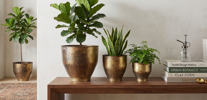 Design Shop Antique Brass Tapered Planter 8", Set of 3