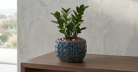 Design Shop Blue Terracotta Planter 5"