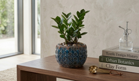 Design Shop Blue Terracotta Planter 5"
