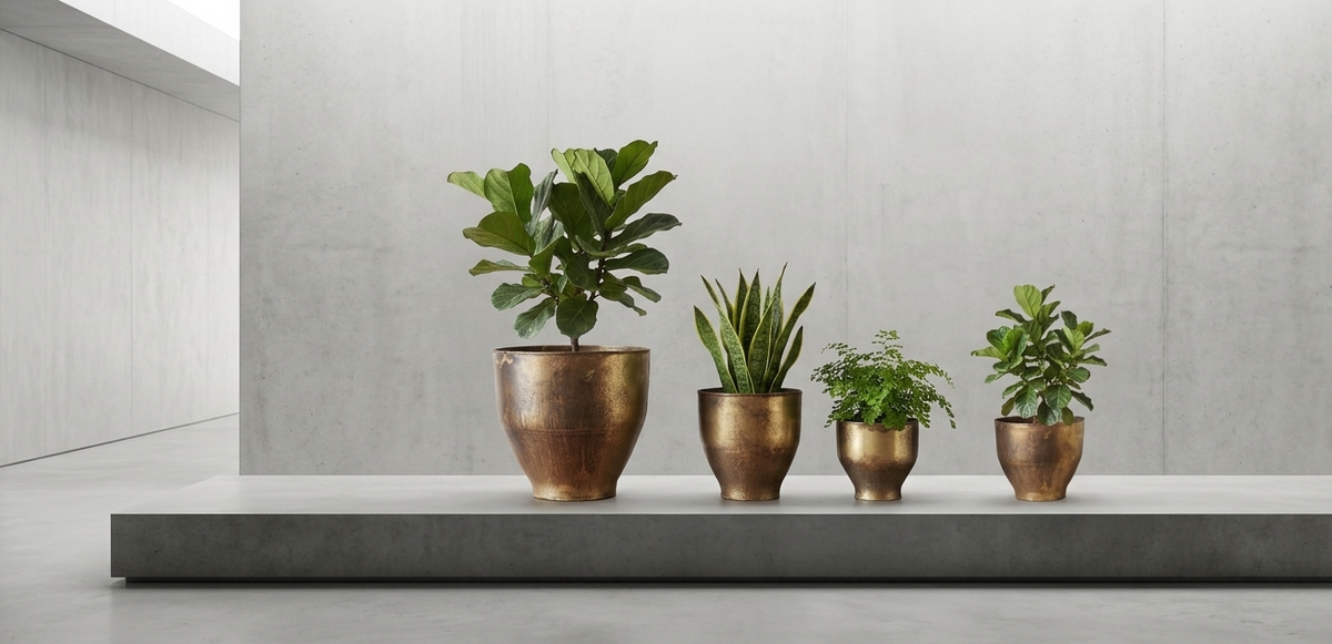 Design Shop Antique Brass Tapered Planter 8", Set of 3