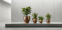 Design Shop Antique Brass Tapered Planter 8", Set of 3