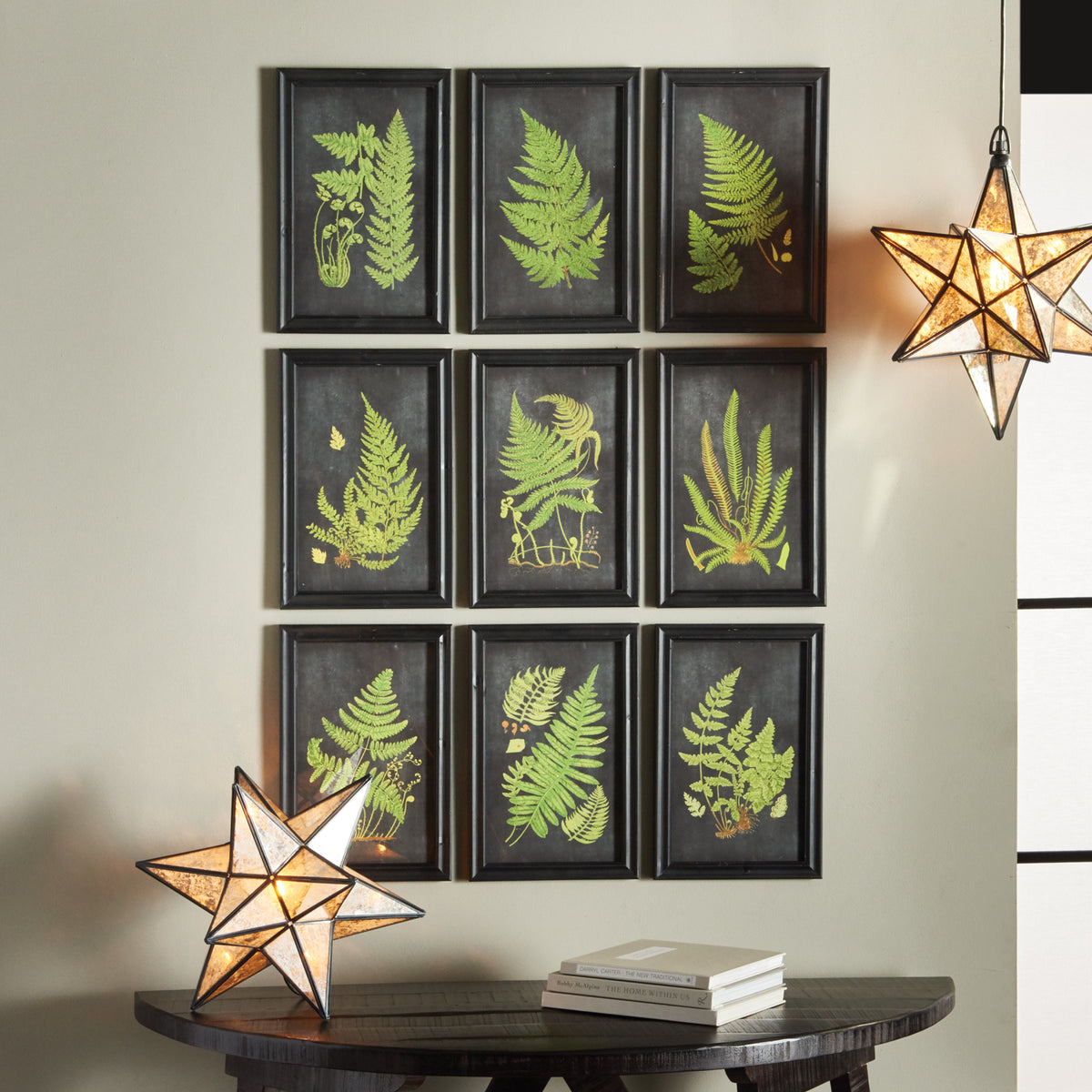 Design Shop Framed Fern Botanical Prints, Set Of 9