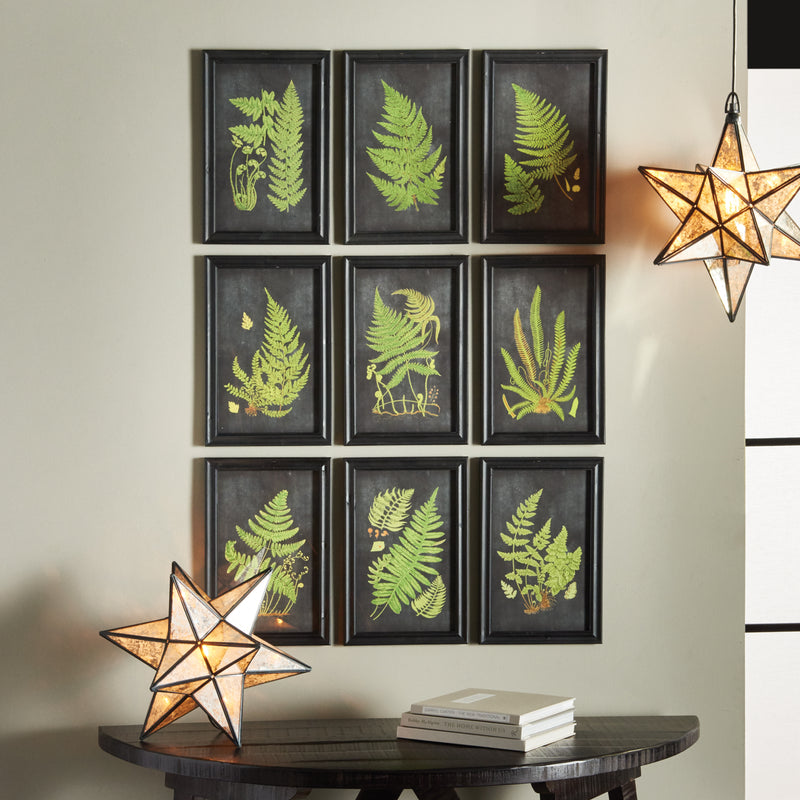 Design Shop Framed Fern Botanical Prints, Set Of 9