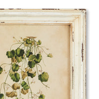 Design Shop Framed Wild Flower Botanical Prints, Set Of 12