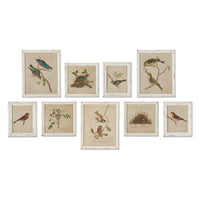 Design Shop Framed Aviary Bird & Nest Habitat Prints, Set Of 9