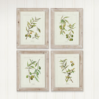 Design Shop Framed Olive Leaf Botanical Prints, Set Of 4
