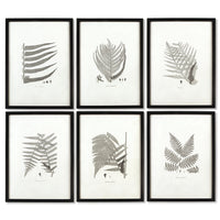 Design Shop Framed Gray-Tone Fern Prints, Set Of 6