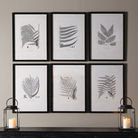 Design Shop Framed Gray-Tone Fern Prints, Set Of 6