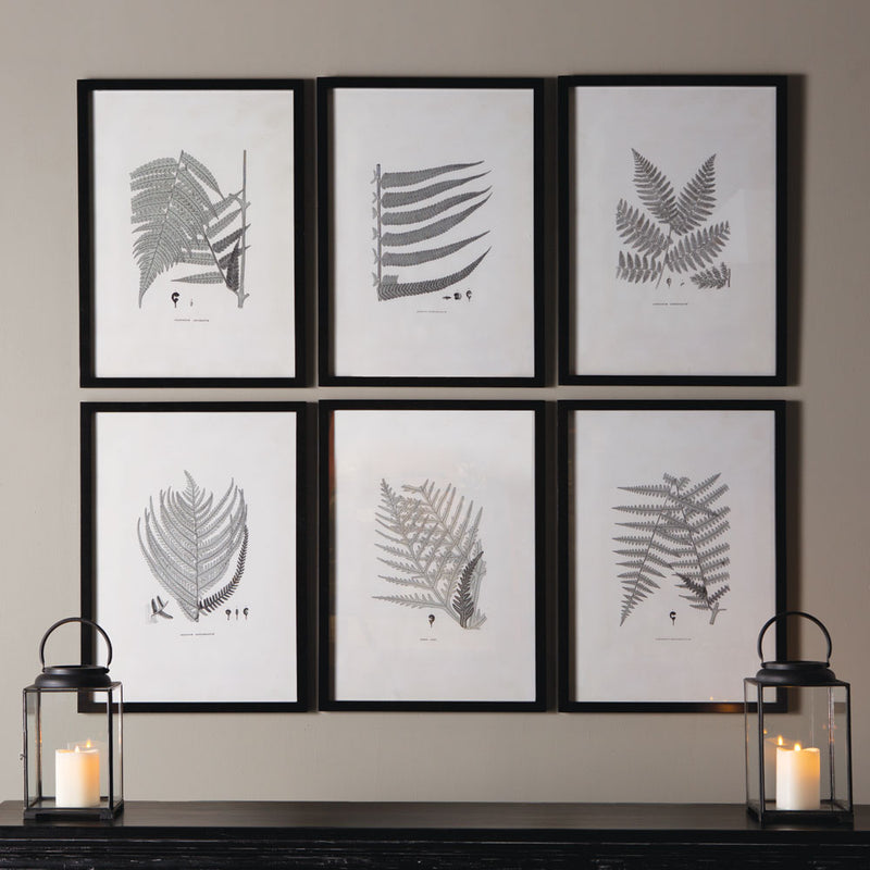Design Shop Framed Gray-Tone Fern Prints, Set Of 6