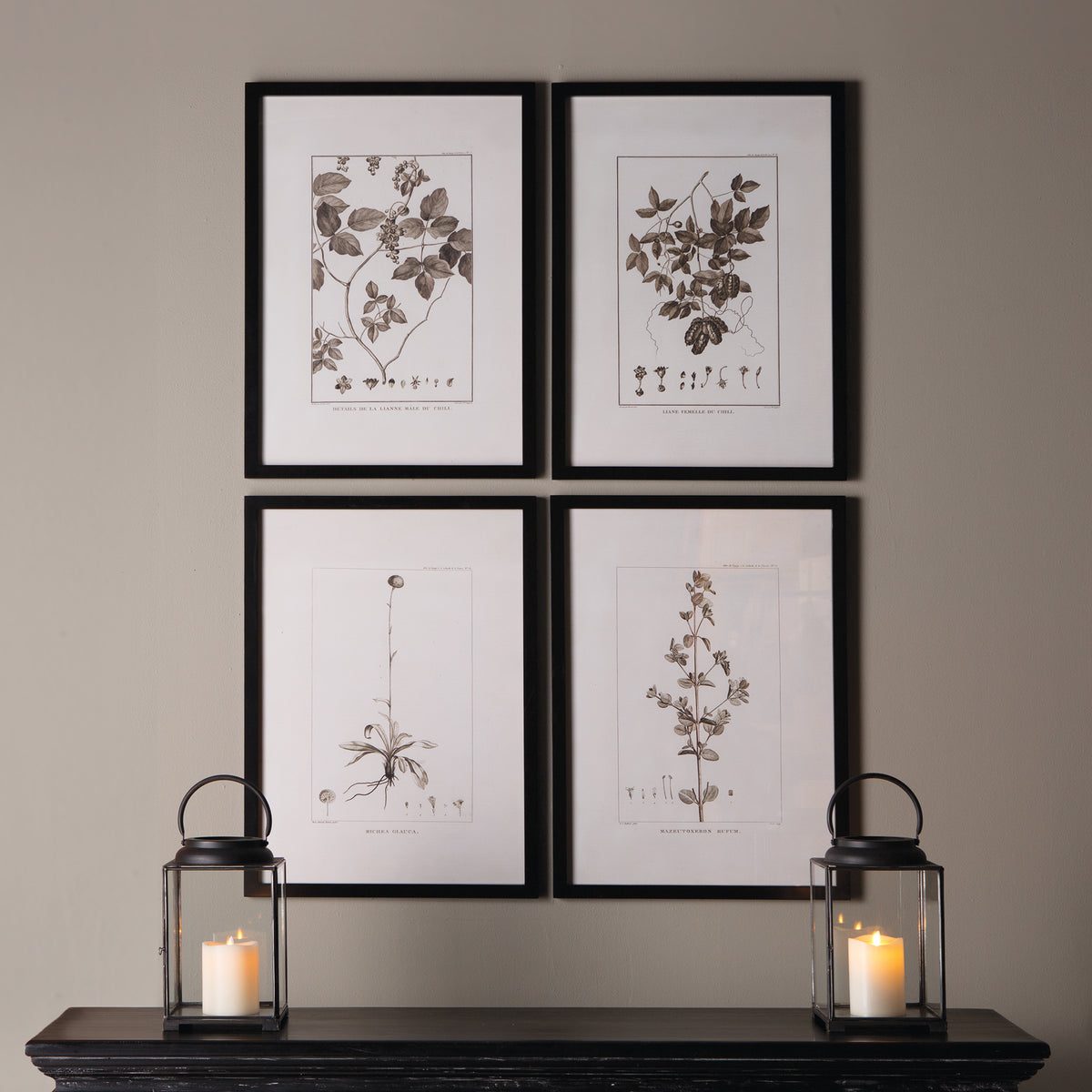 Design Shop Framed Sepia-Tone Botanical Prints, Set Of 4