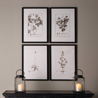 Design Shop Framed Sepia-Tone Botanical Prints, Set Of 4