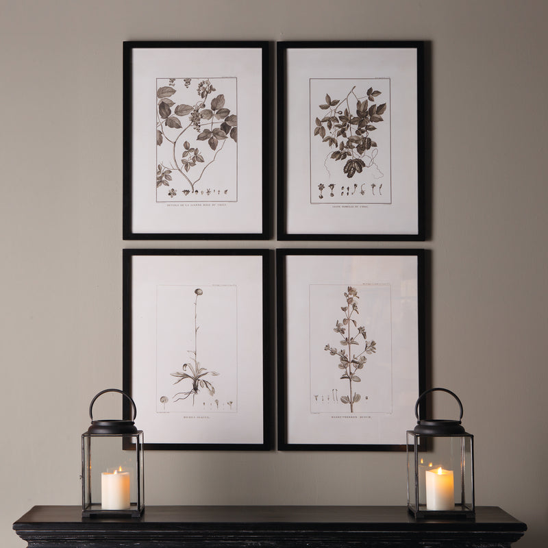 Design Shop Framed Sepia-Tone Botanical Prints, Set Of 4