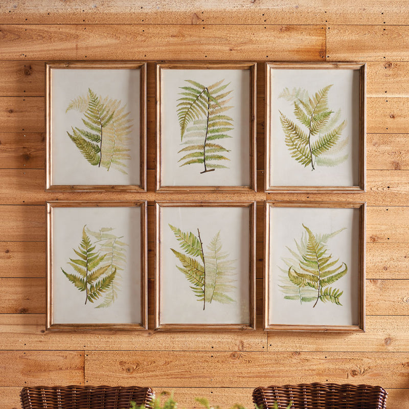 Design Shop Framed Fern Study, Set Of 6