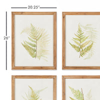 Design Shop Framed Fern Study, Set Of 6