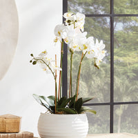 Design Shop Phalaenopsis Orchid Bowl Drop-In 25"