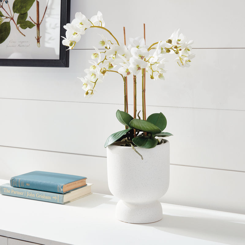 Design Shop Phalaenopsis Orchid Drop-In 20"