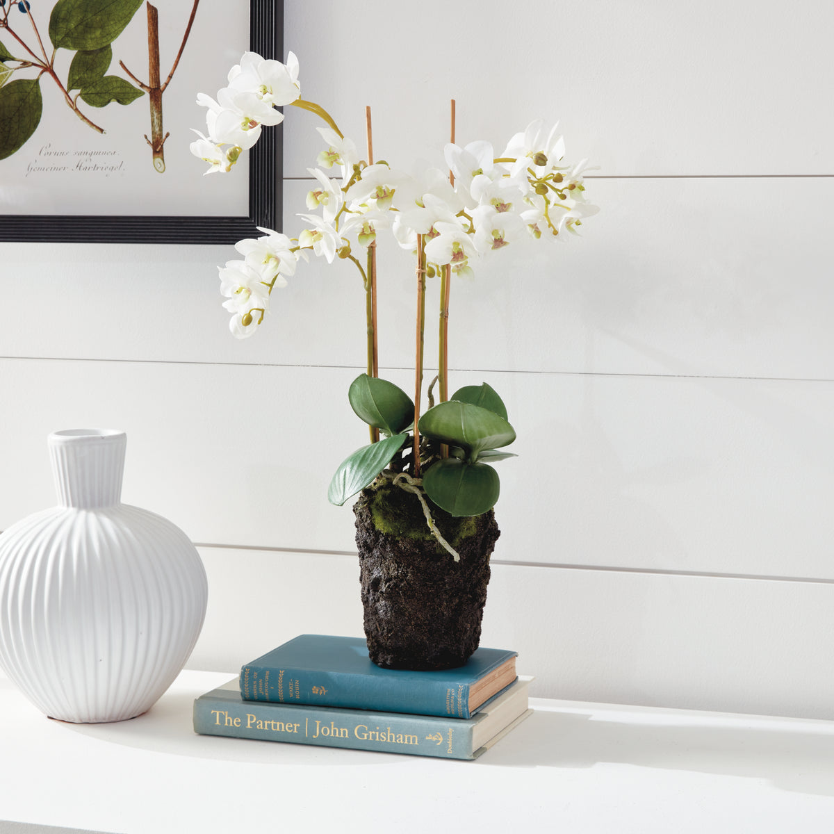 Design Shop Phalaenopsis Orchid Drop-In 20"