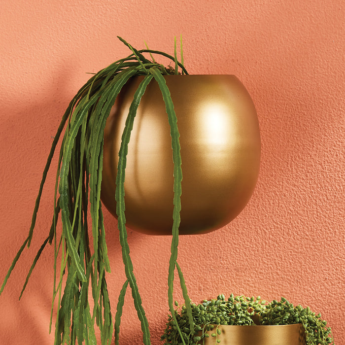 Design Shop Percy Wall Cachepot
