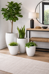 Design Shop White Top Cut Round Tapered Planter 23.5", Set of 3