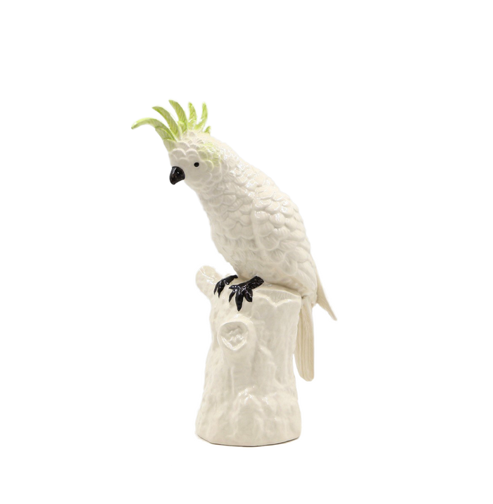 Abigails Cockatoo