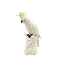 Abigails Cockatoo