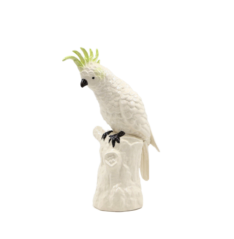 Abigails Cockatoo