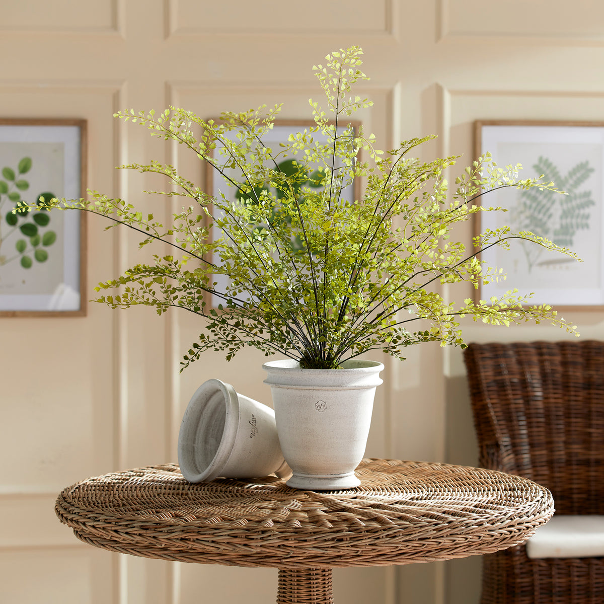 Design Shop Maidenhair Drop-In 30"