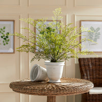 Design Shop Maidenhair Drop-In 30"