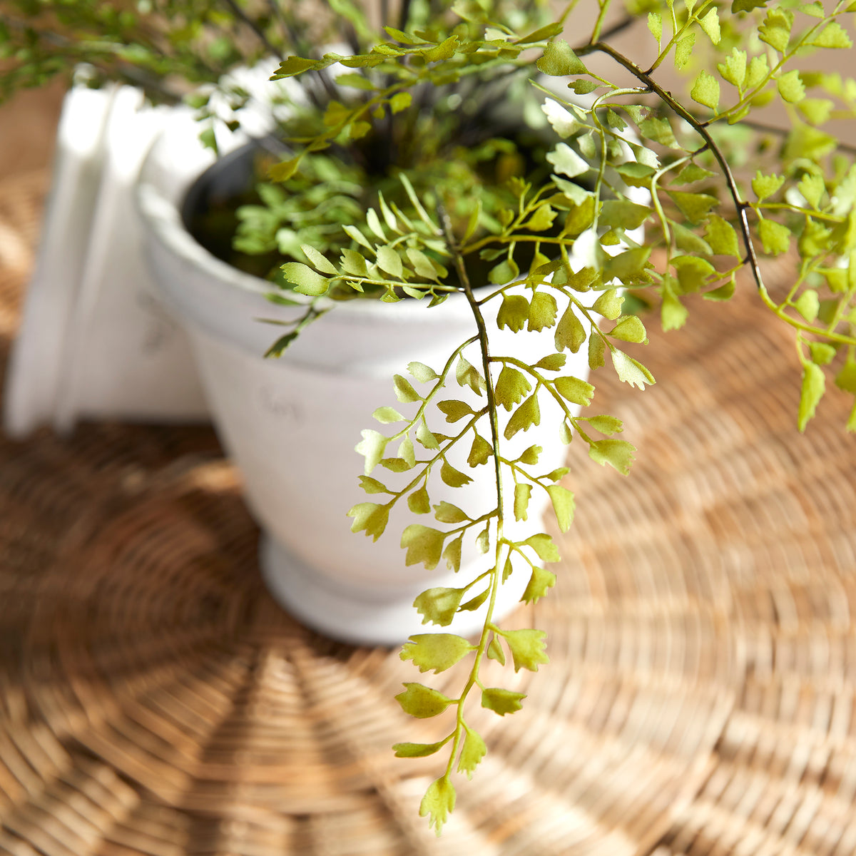 Design Shop Maidenhair Drop-In 30"