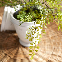Design Shop Maidenhair Drop-In 30"