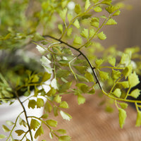 Design Shop Maidenhair Drop-In 30"