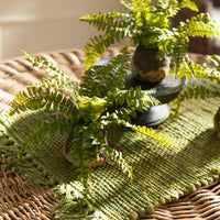 Design Shop Boston Fern Drop-Ins, Set Of 3