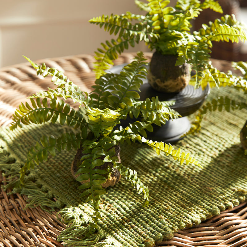 Design Shop Boston Fern Drop-Ins, Set Of 3