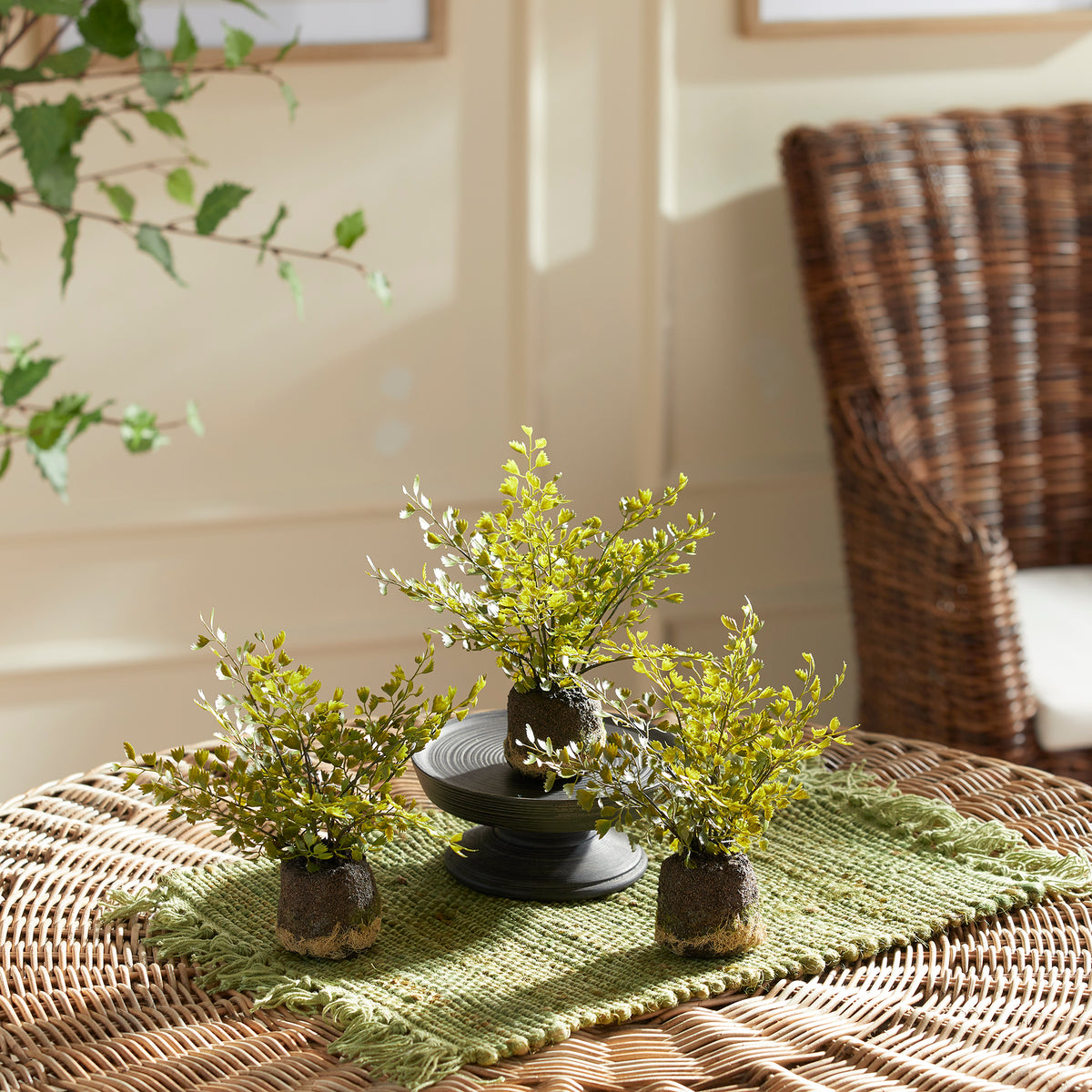 Design Shop Maidenhair Drop-Ins, Set Of 3