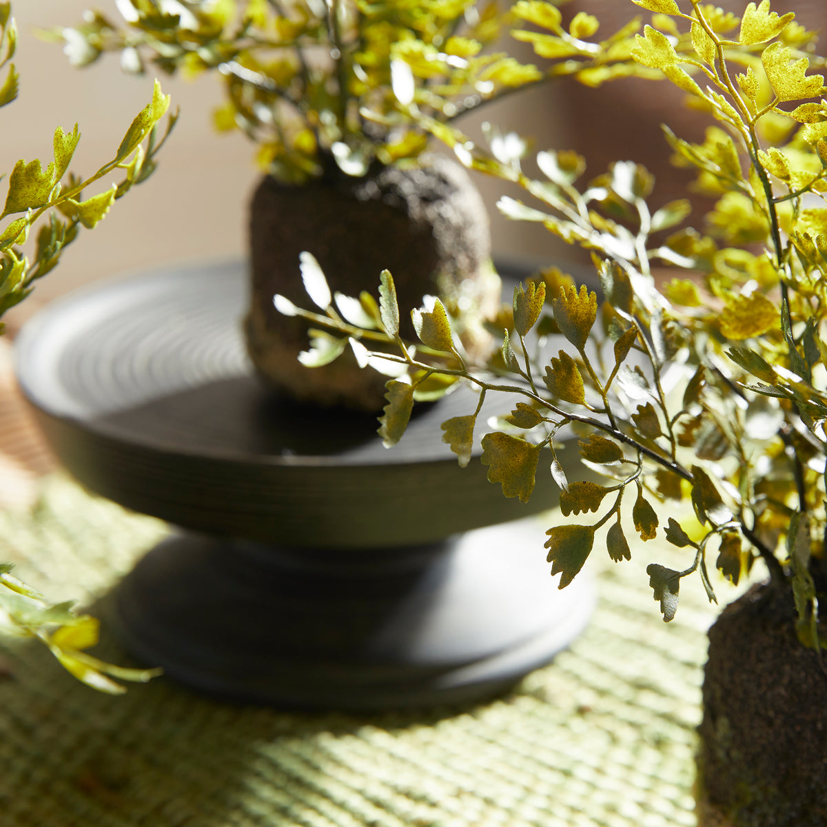 Design Shop Maidenhair Drop-Ins, Set Of 3