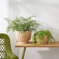 Design Shop Cane Rattan Decorative Footed Bowls, Set Of 2