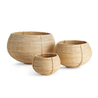 Design Shop Cane Rattan Plant Baskets, Set Of 3