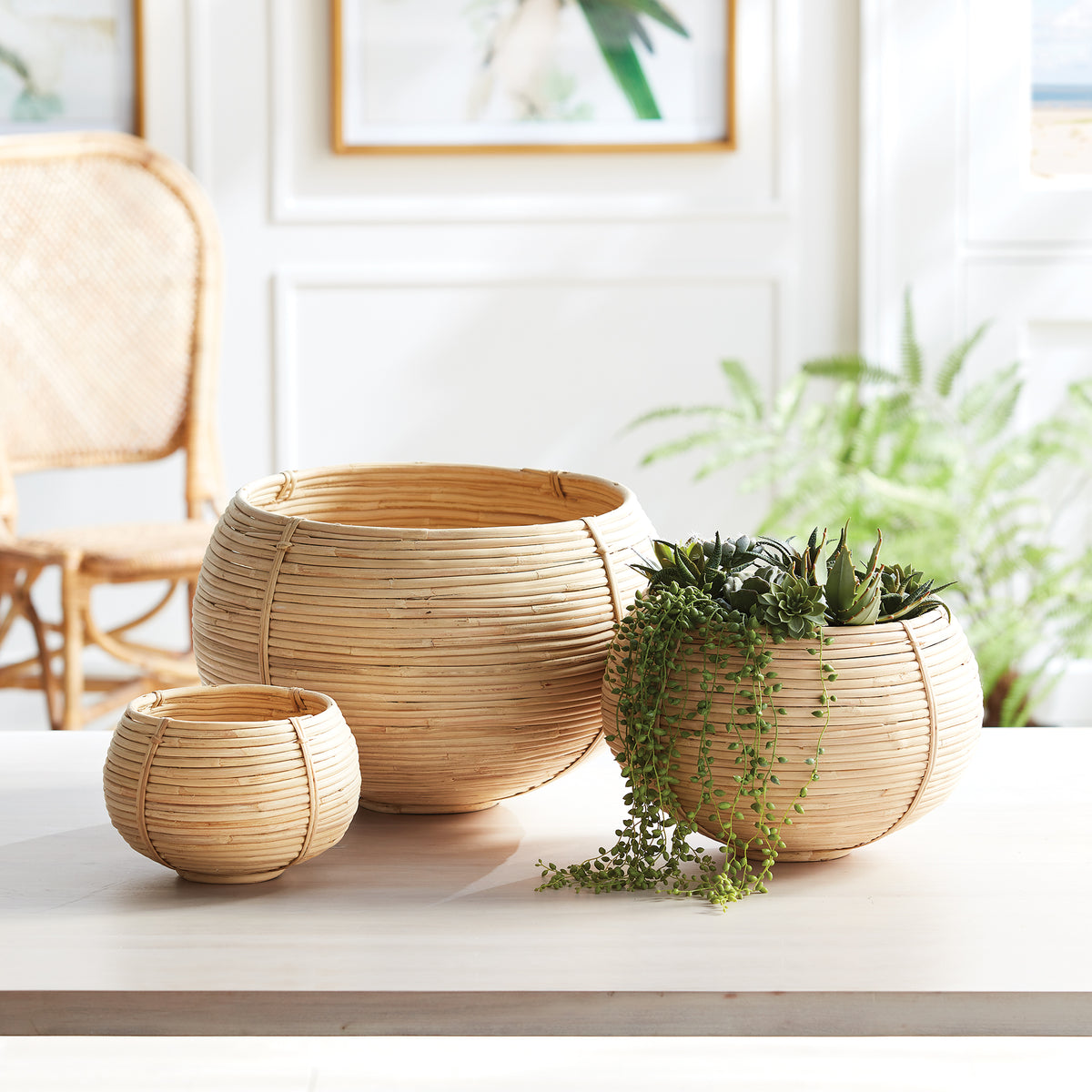 Design Shop Cane Rattan Plant Baskets, Set Of 3