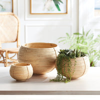 Design Shop Cane Rattan Plant Baskets, Set Of 3