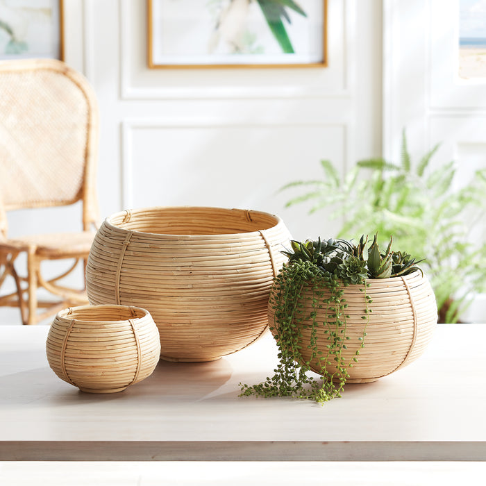 Design Shop Cane Rattan Plant Baskets, Set Of 3