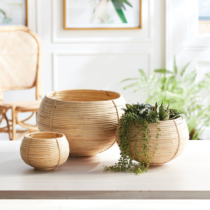 Design Shop Cane Rattan Plant Baskets, Set Of 3