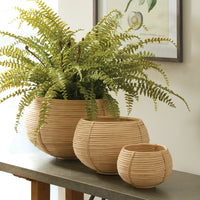 Design Shop Cane Rattan Plant Baskets, Set Of 3