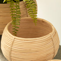 Design Shop Cane Rattan Plant Baskets, Set Of 3