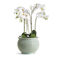 Design Shop Graffio Grande Cachepot