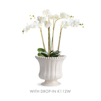 Design Shop Coletta Petite Flared Vase
