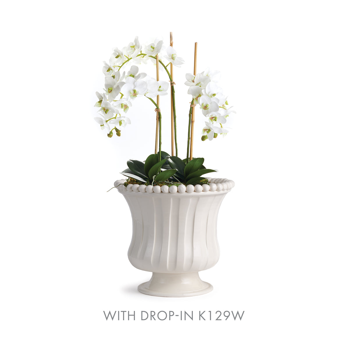 Design Shop Coletta Petite Flared Vase