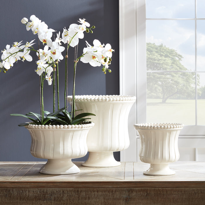 Three cream decorative footed bowls with beaded rims, one holding white orchid stems, on a wooden table by a window.