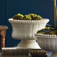 Design Shop Coletta Decorative Footed Bowl