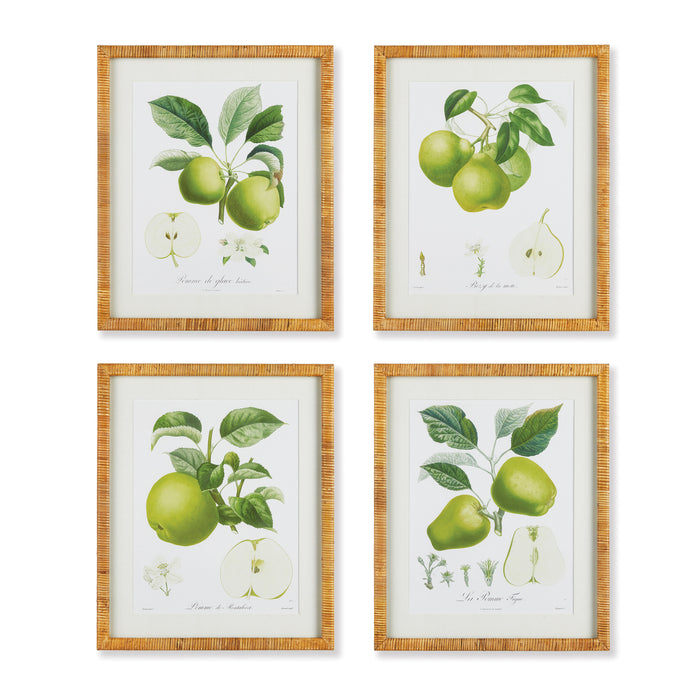 Design Shop Fruit Study, Set Of 4