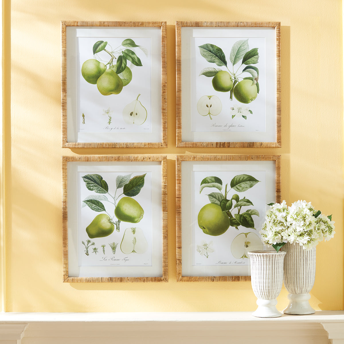 Design Shop Fruit Study, Set Of 4